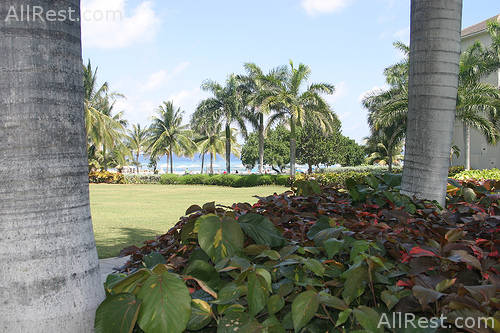 Ritz-Carlton Golf & Spa Resort 12